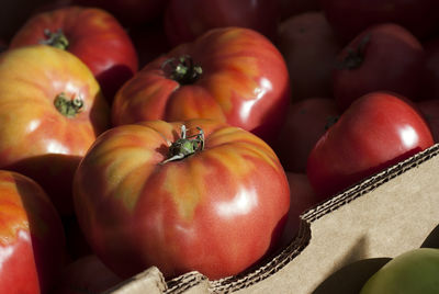 Close-up of tomatoes for sale