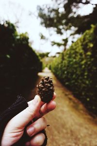 Close up of woman holding ice cream cone