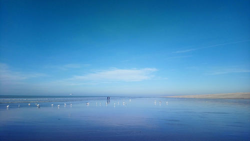 Scenic view of sea against blue sky