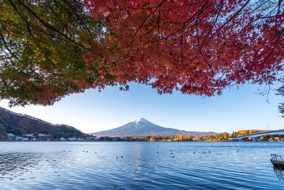 Scenic view of lake against sky during autumn