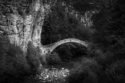 Arch bridge amidst trees in forest