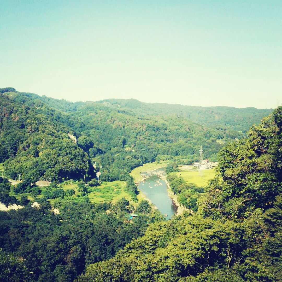 tree, clear sky, water, tranquil scene, tranquility, scenics, beauty in nature, green color, nature, lush foliage, mountain, growth, high angle view, landscape, copy space, forest, lake, idyllic, green, river