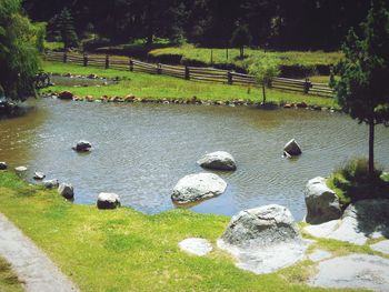 High angle view of lake against trees