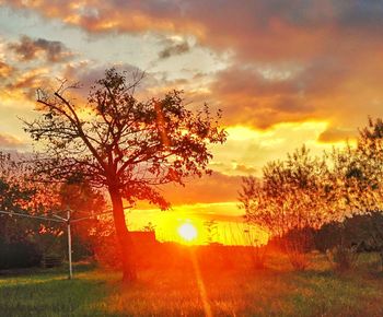 Scenic view of landscape against cloudy sky
