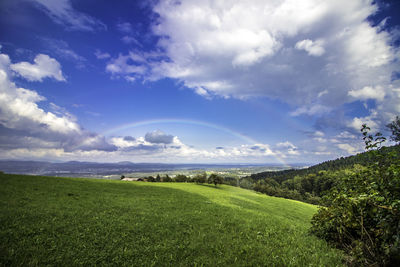 Scenic view of landscape against sky