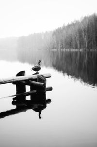 Boat on lake against sky