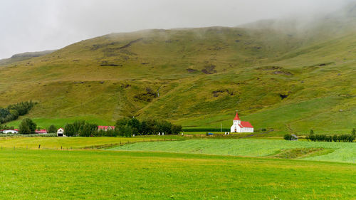 Classic white church in the middle of green mossy hills in iceland