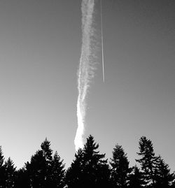 Low angle view of trees