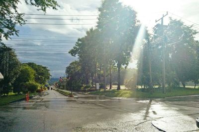 Road by trees against sky