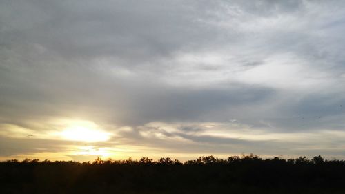 Silhouette trees on field against sky at sunset