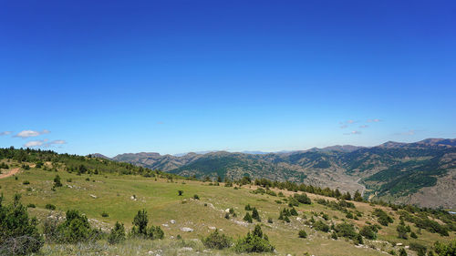 Scenic view of landscape against clear blue sky