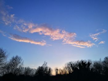 Low angle view of silhouette trees against blue sky