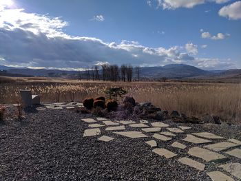 Scenic view of field against sky