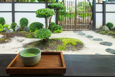 Potted plant on table