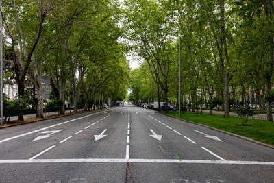 Road by trees in city