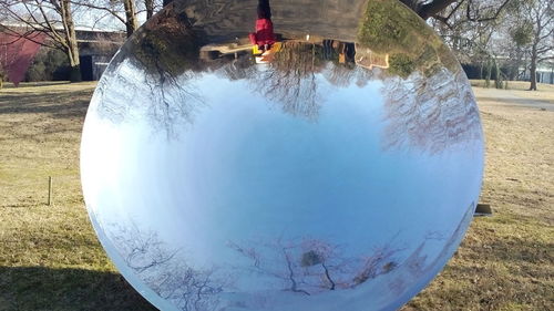 Reflection of trees in swimming pool