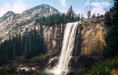 Scenic view of waterfall in forest