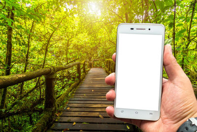 Cropped hand holding phone on boardwalk in forest