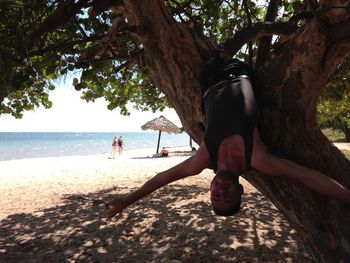 Tree on beach against sky