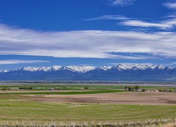 Scenic view of field against sky