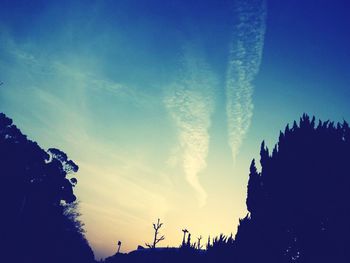 Low angle view of silhouette trees against sky