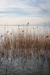 Scenic view of frozen lake against sky