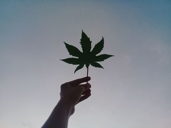 Close-up of hand holding leaf against clear sky during sunset