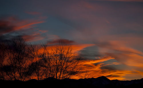 Silhouette of tree against dramatic sky