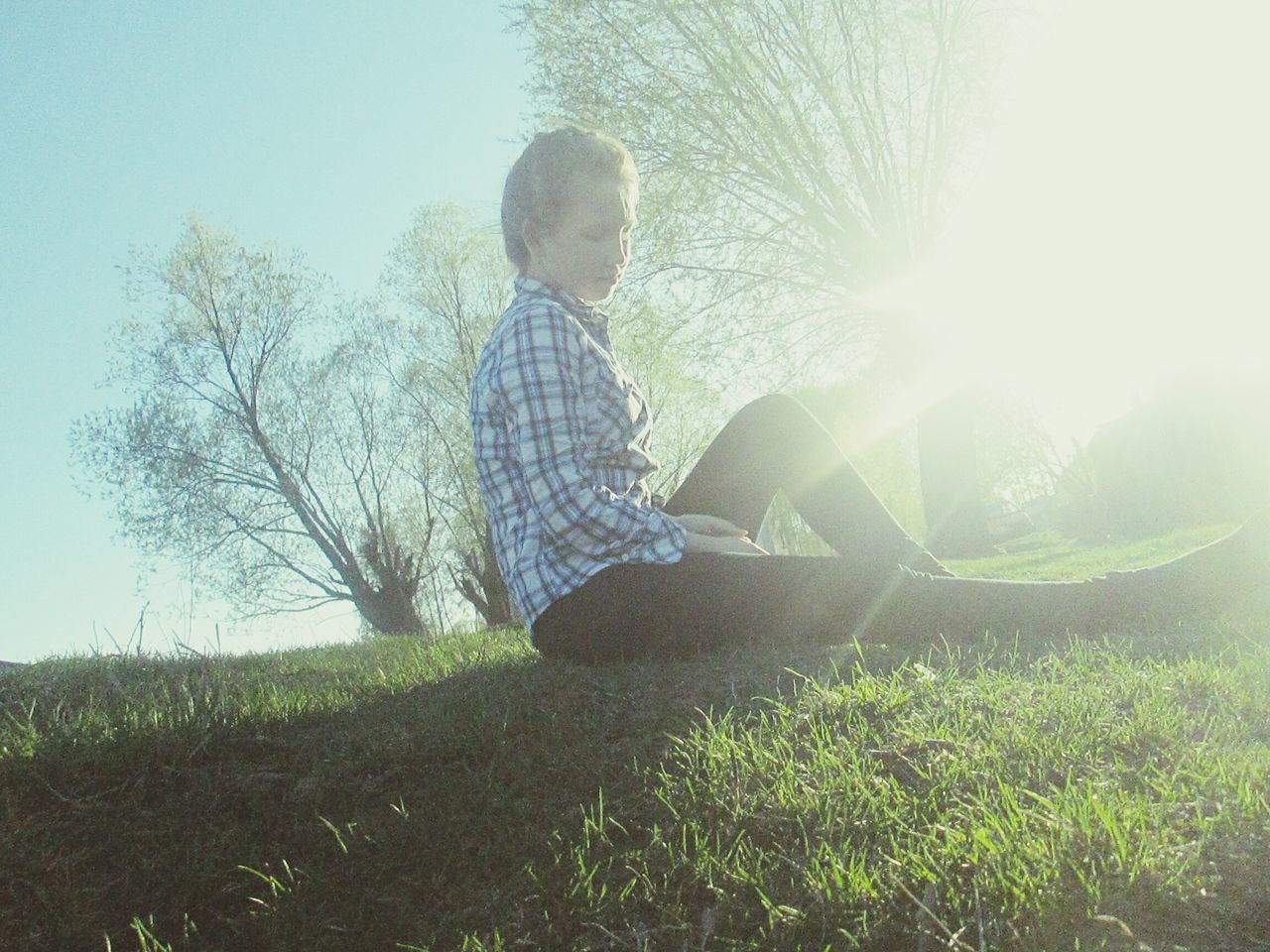 sunlight, clear sky, sun, leisure activity, grass, sunbeam, lifestyles, tree, lens flare, men, sunny, rear view, low angle view, full length, nature, day, standing, plant