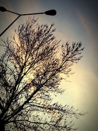 Low angle view of silhouette tree against sky at sunset