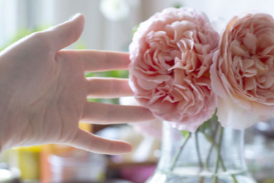 Close-up of hand holding rose bouquet