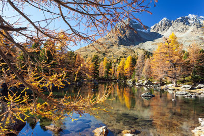 Scenic view of lake by trees against sky