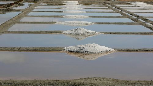 Reflection of lake in puddle