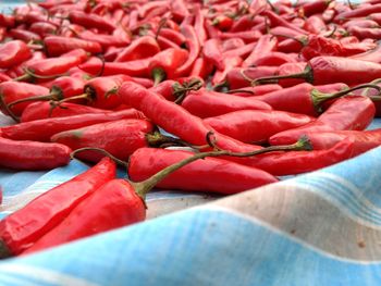 Close-up of red chili pepper on fabric