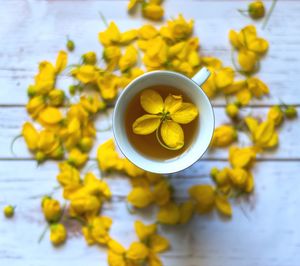 High angle view of yellow rose on table