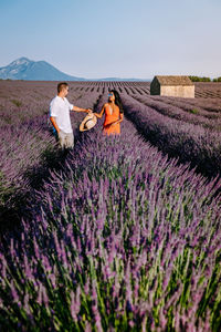 Purple flowers on field against sky