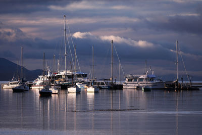 Sailboats in marina at sunset