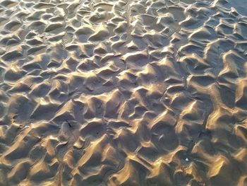 Full frame shot of rippled water