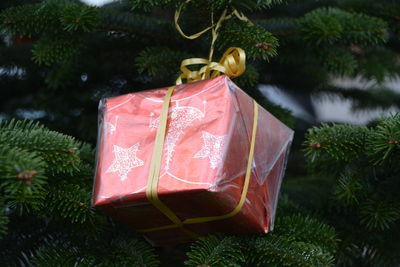 Close-up of christmas decoration hanging on tree