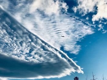 Low angle view of birds flying in sky