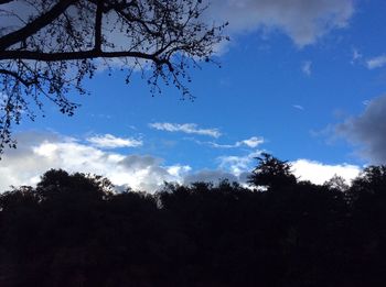 Low angle view of trees against cloudy sky