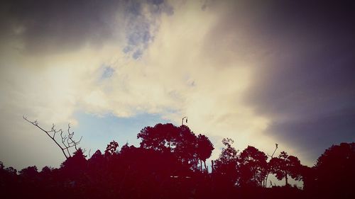 Low angle view of trees against cloudy sky