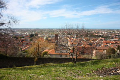 Houses and trees on field against sky