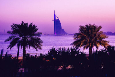 Silhouette palm trees against clear sky