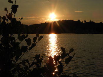 Silhouette plants by lake against sky during sunset