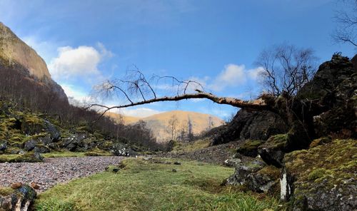 Bare trees on landscape against sky