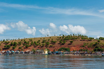 A hill covered by small trees on padar island