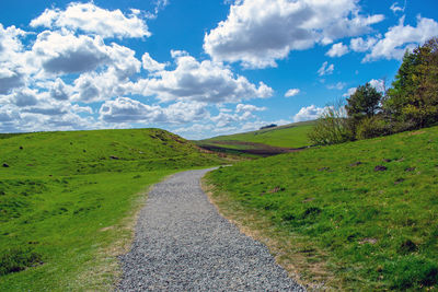 Road amidst green land against sky