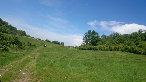 Scenic view of trees on field against sky