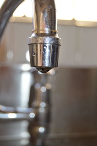 Close-up of plant against blurred background